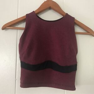 Ktrna dance wear Top with Mesh Detail (S)